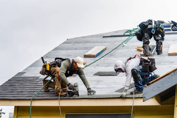 Professional Roofing technician working in Wedgefield, FL