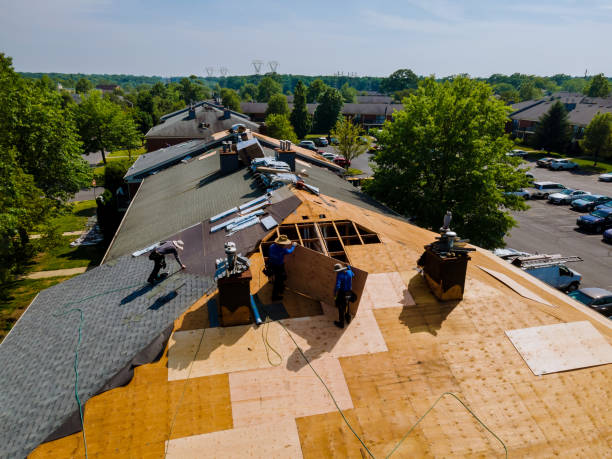 Trusted Roof Replacement service in Wedgefield, FL - Brentwood Metal Roofing